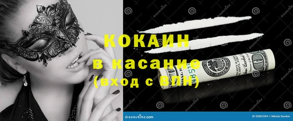 гашик Пестово