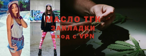 гашик Пестово