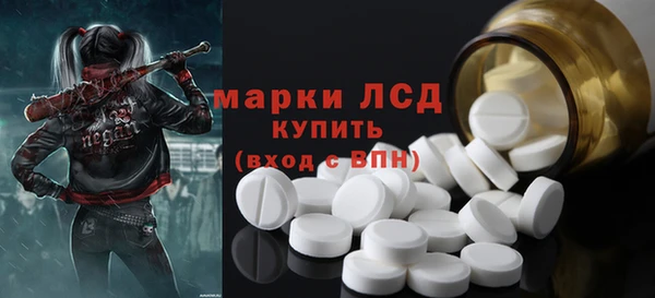 гашик Пересвет
