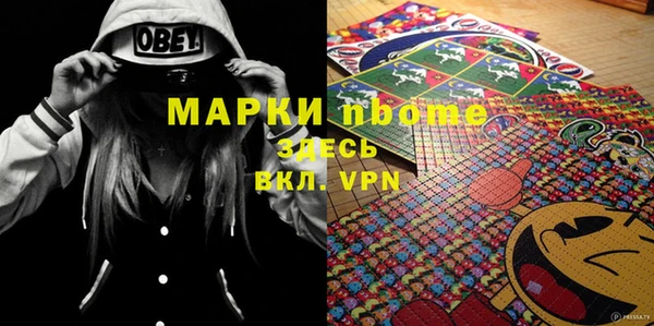 гашик Пересвет