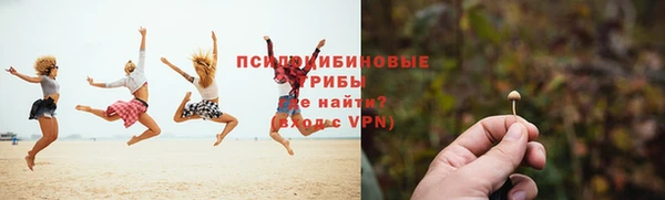 амф Осинники