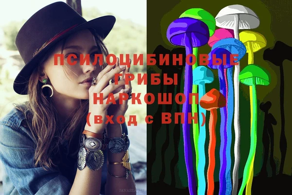 амф Осинники