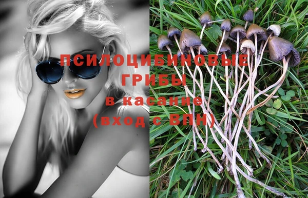 гашик Пересвет