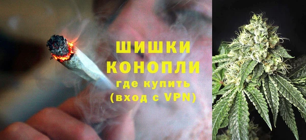 гашик Пересвет