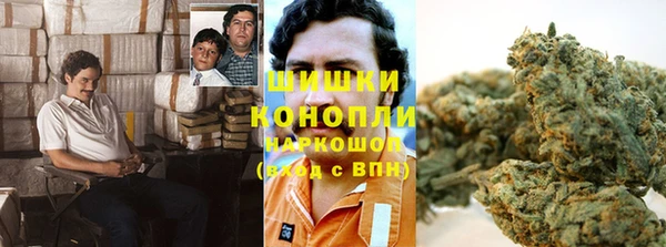 амф Осинники