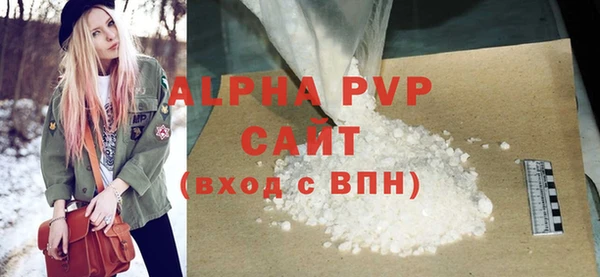 гашик Пестово
