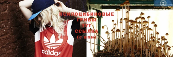 гашик Пересвет