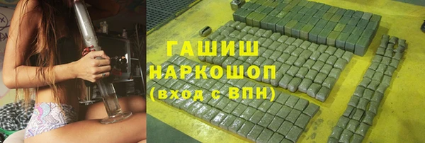 гашик Пестово