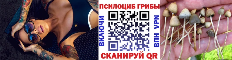 Псилоцибиновые грибы Psilocybe  Белоозёрский 